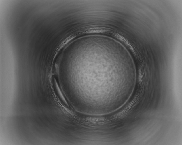 X0000116800786200912241200