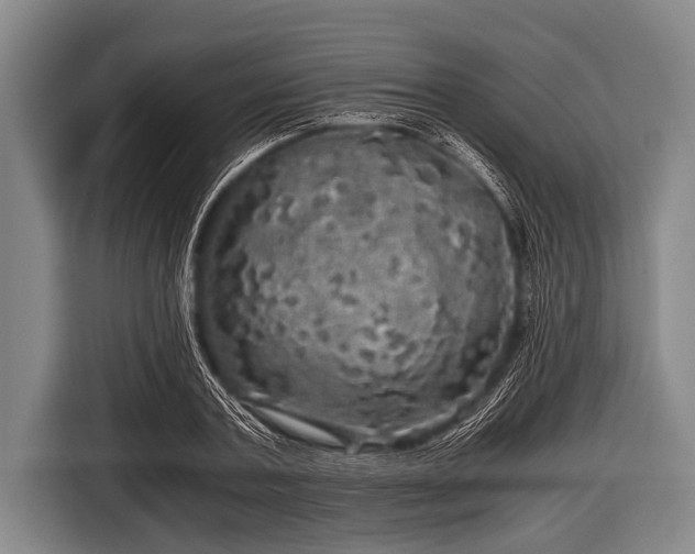 X0000116800787200912241200