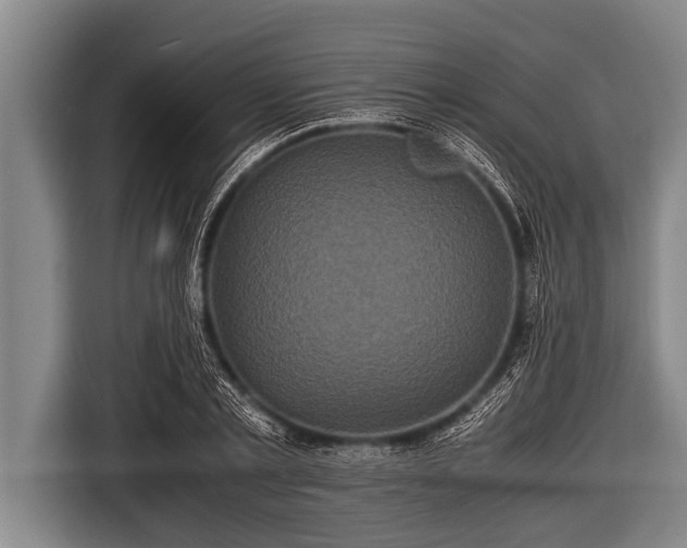 X0000116800789200912241200