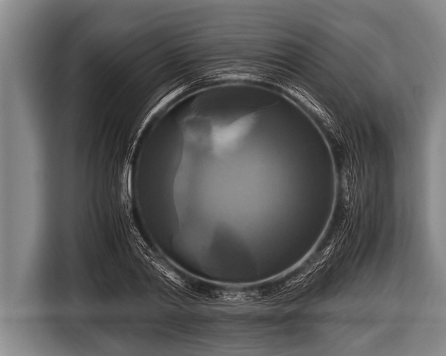 X0000116800790200912241200