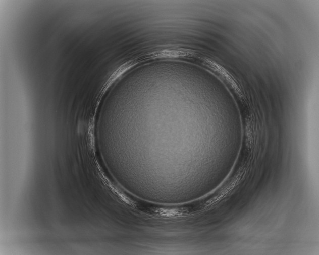 X0000116800794200912241200