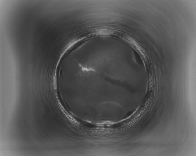 X0000116800795200912241200