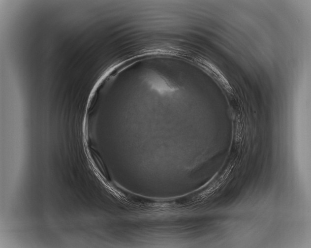 X0000116800796200912241200