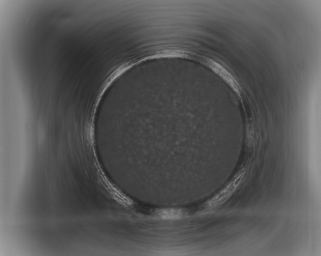 X0000116800797200912241200