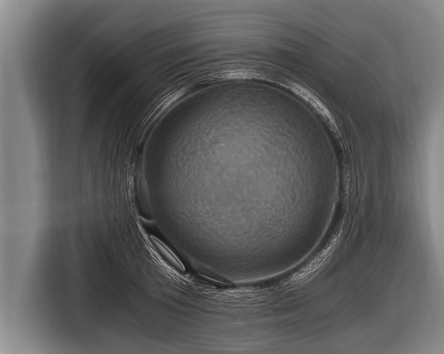 X0000116800801200912241200