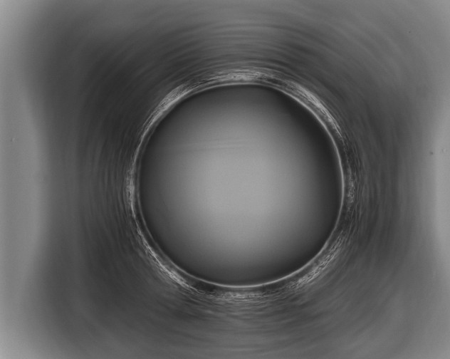 X0000116800802200912241200