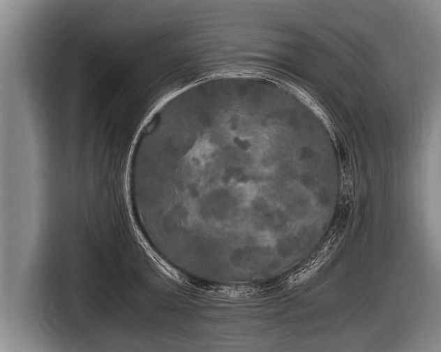 X0000116800803200912241200