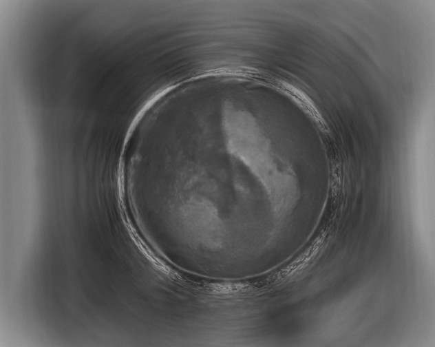 X0000116800804200912241200