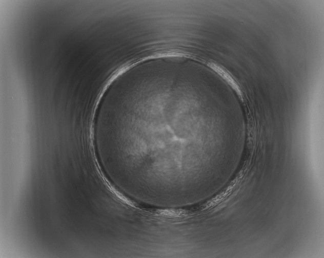 X0000116800805200912241200