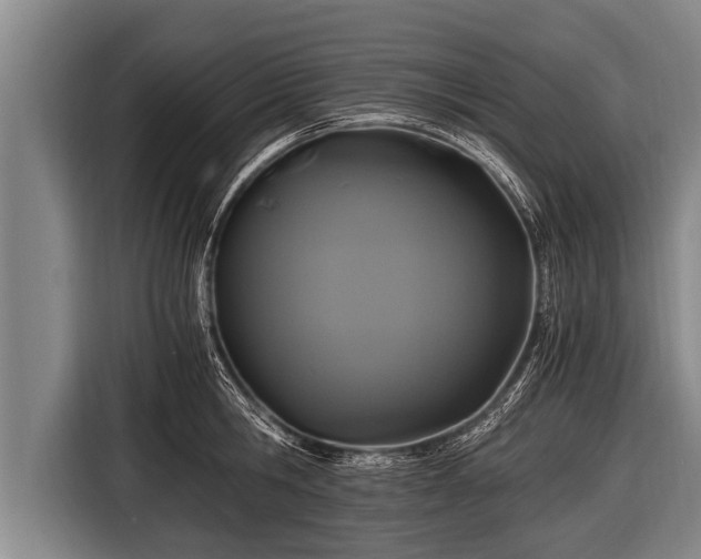 X0000116800806200912241200