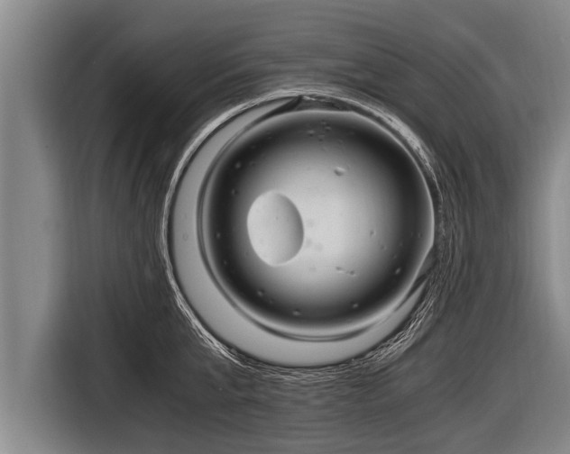 X0000116800807200912241200