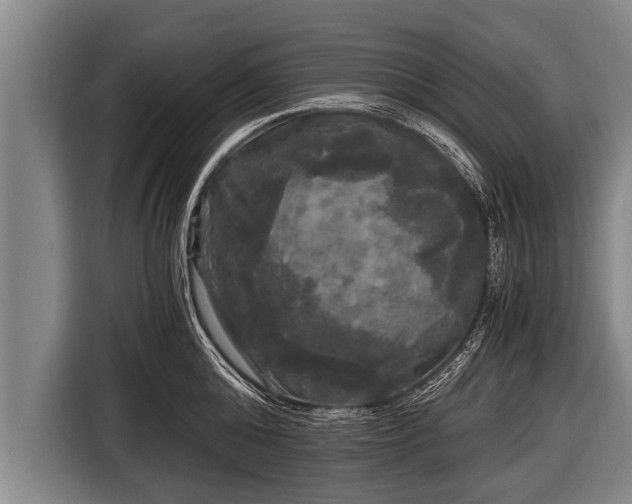 X0000116800808200912241200