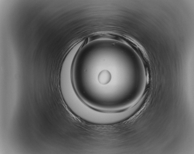 X0000116800809200912241200