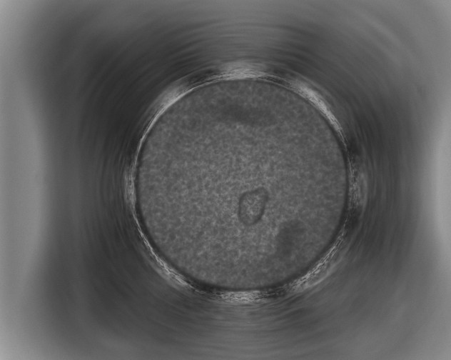 X0000116800810200912241200