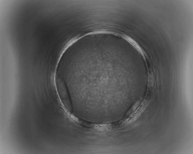 X0000116800813200912241200