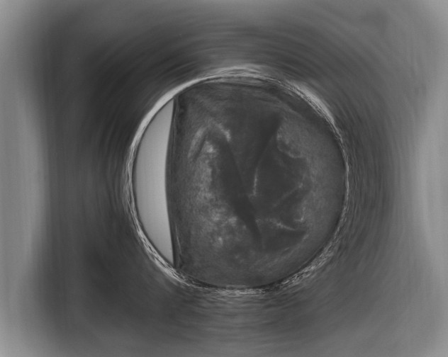 X0000116800816200912241200