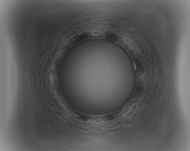 X0000116800817200912241159