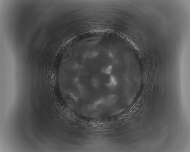 X0000116800821200912241159