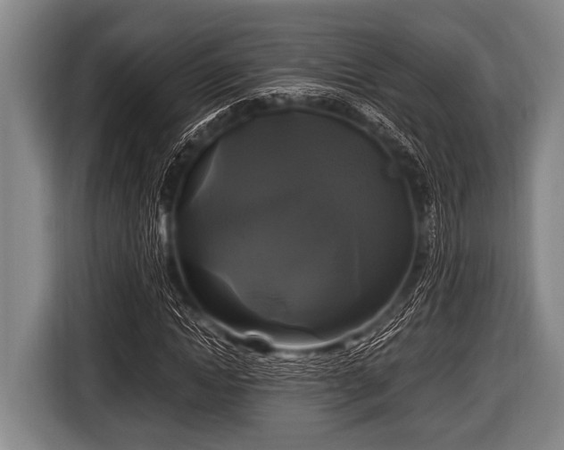 X0000116800822200912241159