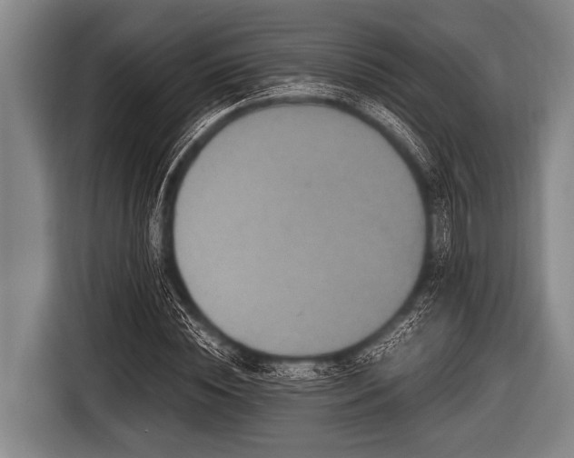 X0000116800828200912241159