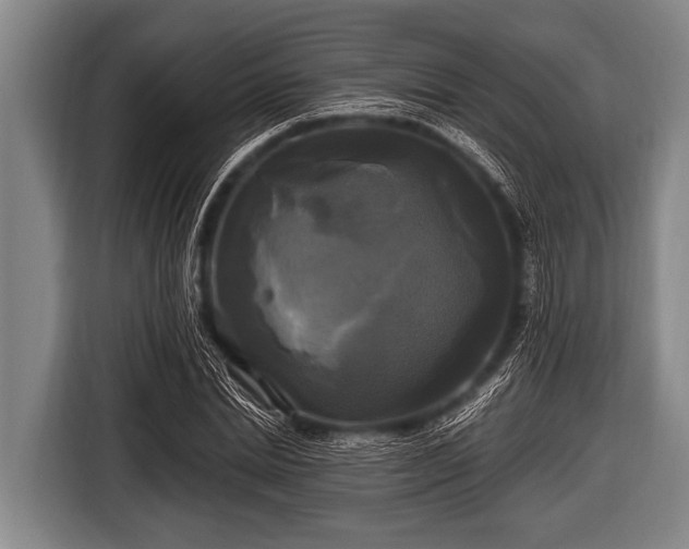 X0000116800830200912241159