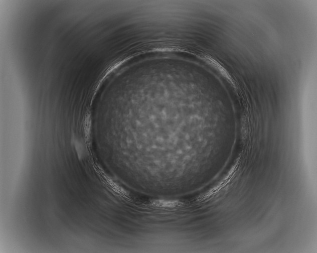 X0000116800831200912241159