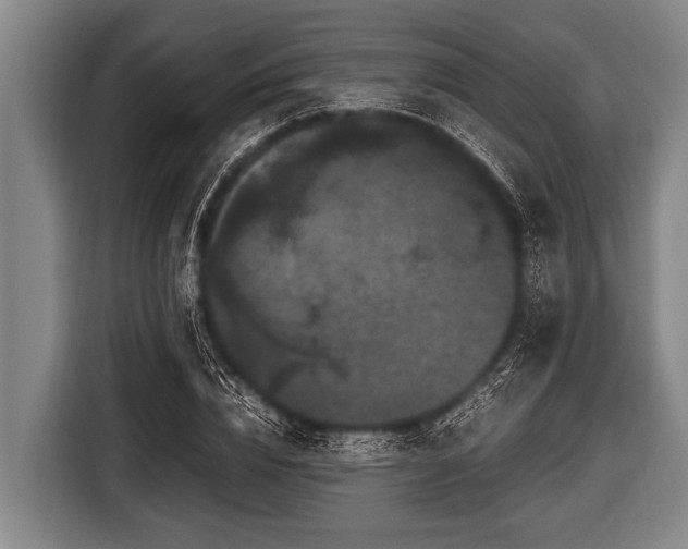 X0000116800832200912241159