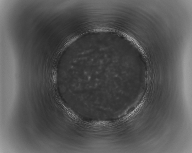 X0000116800833200912241159