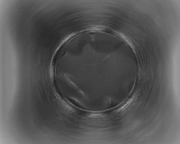 X0000116800835200912241159