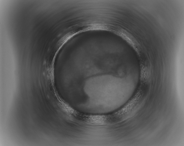 X0000116800836200912241159