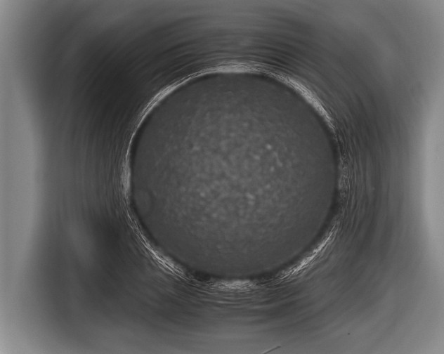 X0000116800837200912241159