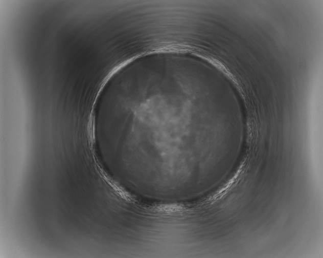 X0000116800838200912241159