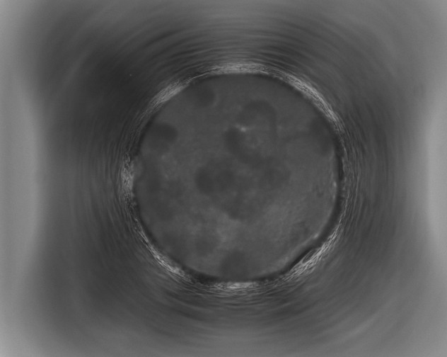 X0000116800841200912241159