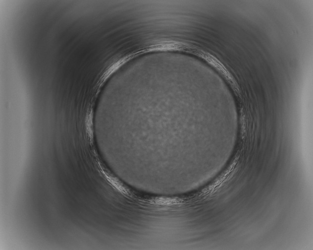 X0000116800842200912241159