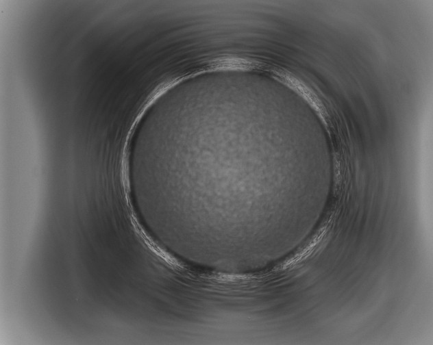 X0000116800843200912241200