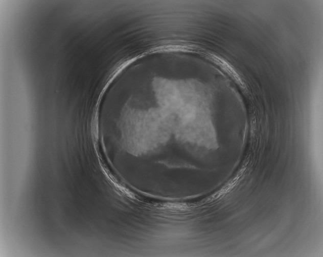 X0000116800844200912241200