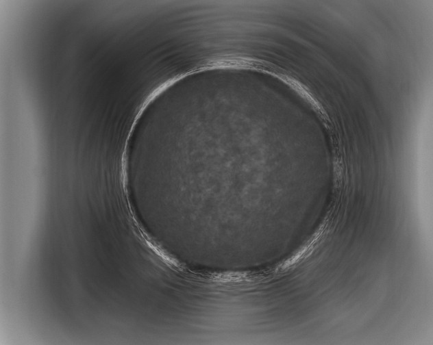 X0000116800846200912241200