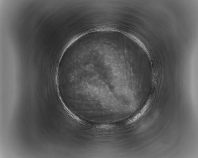 X0000116800847200912241200