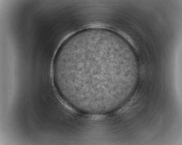 X0000116800848200912241200