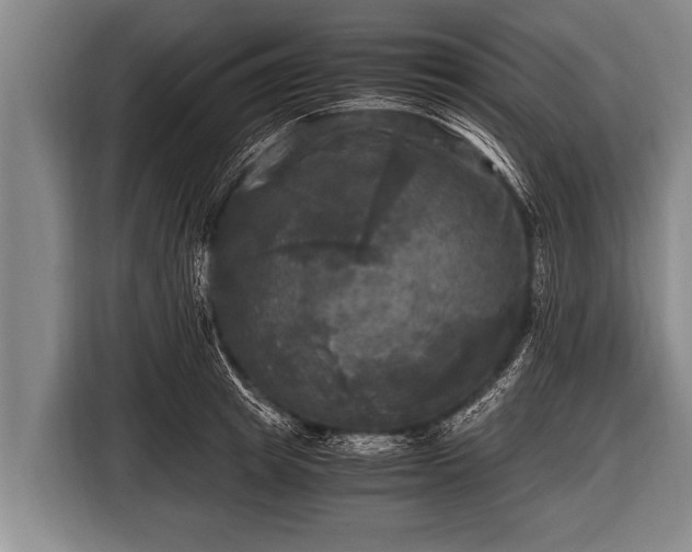 X0000116800849200912241200