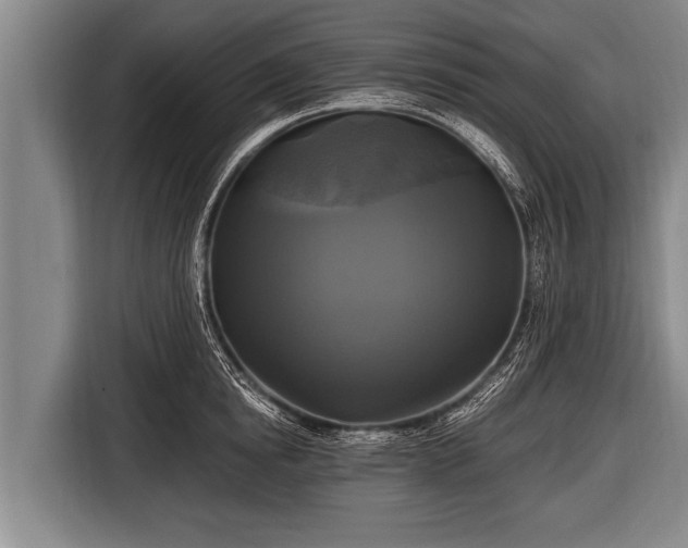 X0000116800854200912241200