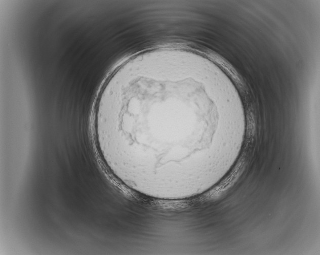 X0000116800856200912241200