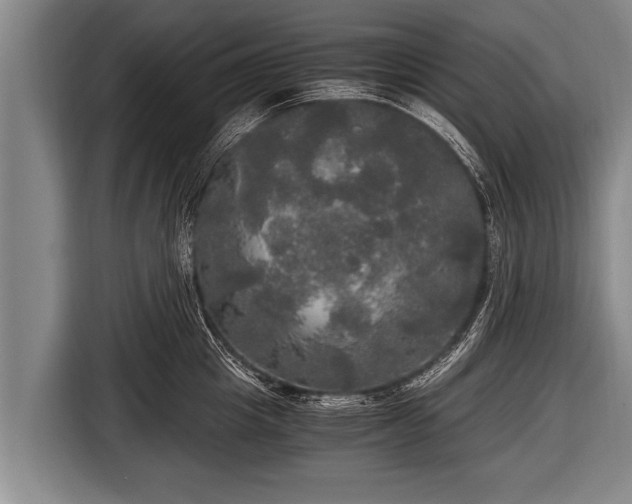 X0000116800857200912241200