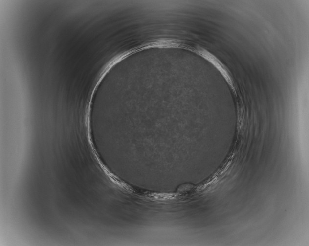 X0000116800861200912241200