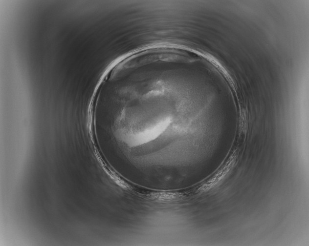 X0000116800862200912241200