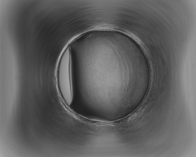 X0000116800864200912241200