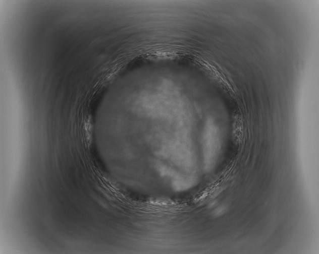 X0000116800866200912241159