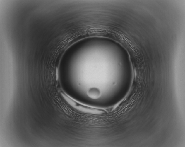 X0000116800868200912241159