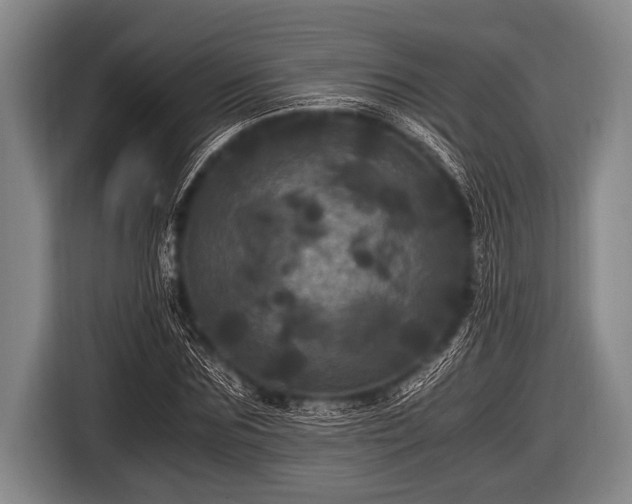 X0000116800875200912241159