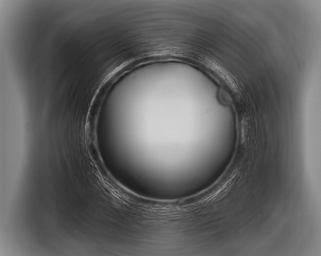 X0000116800876200912241159